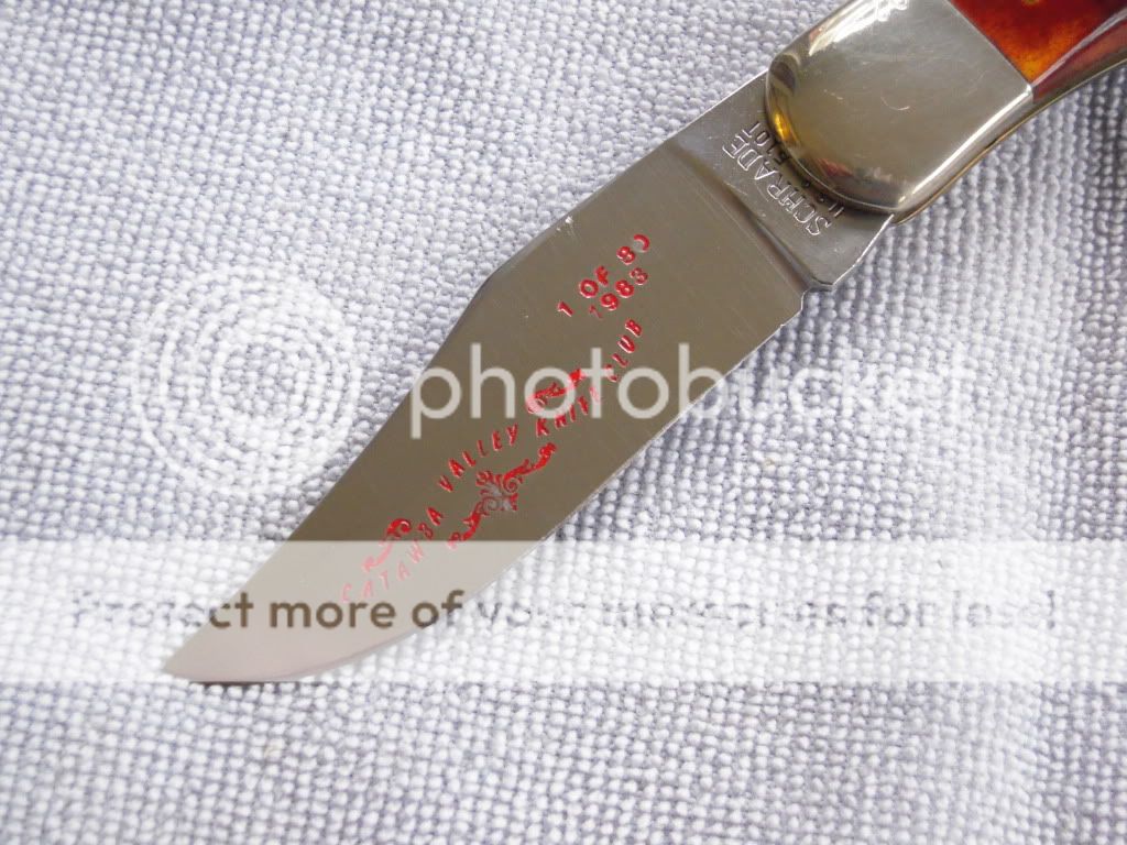 DSCN1123.jpg