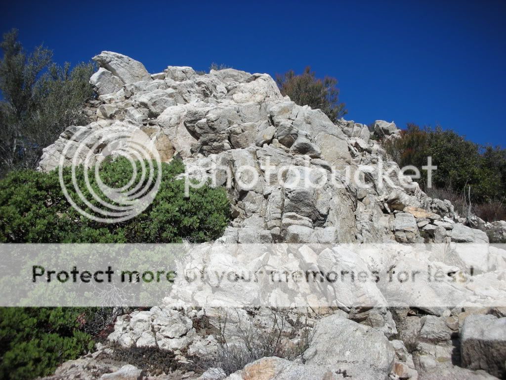Rattlesnakesuccess054.jpg