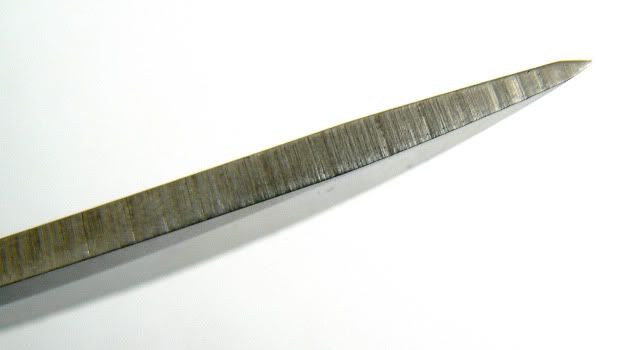 1182.jpg
