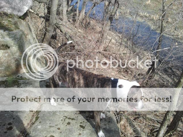 2012-03-25141553.jpg