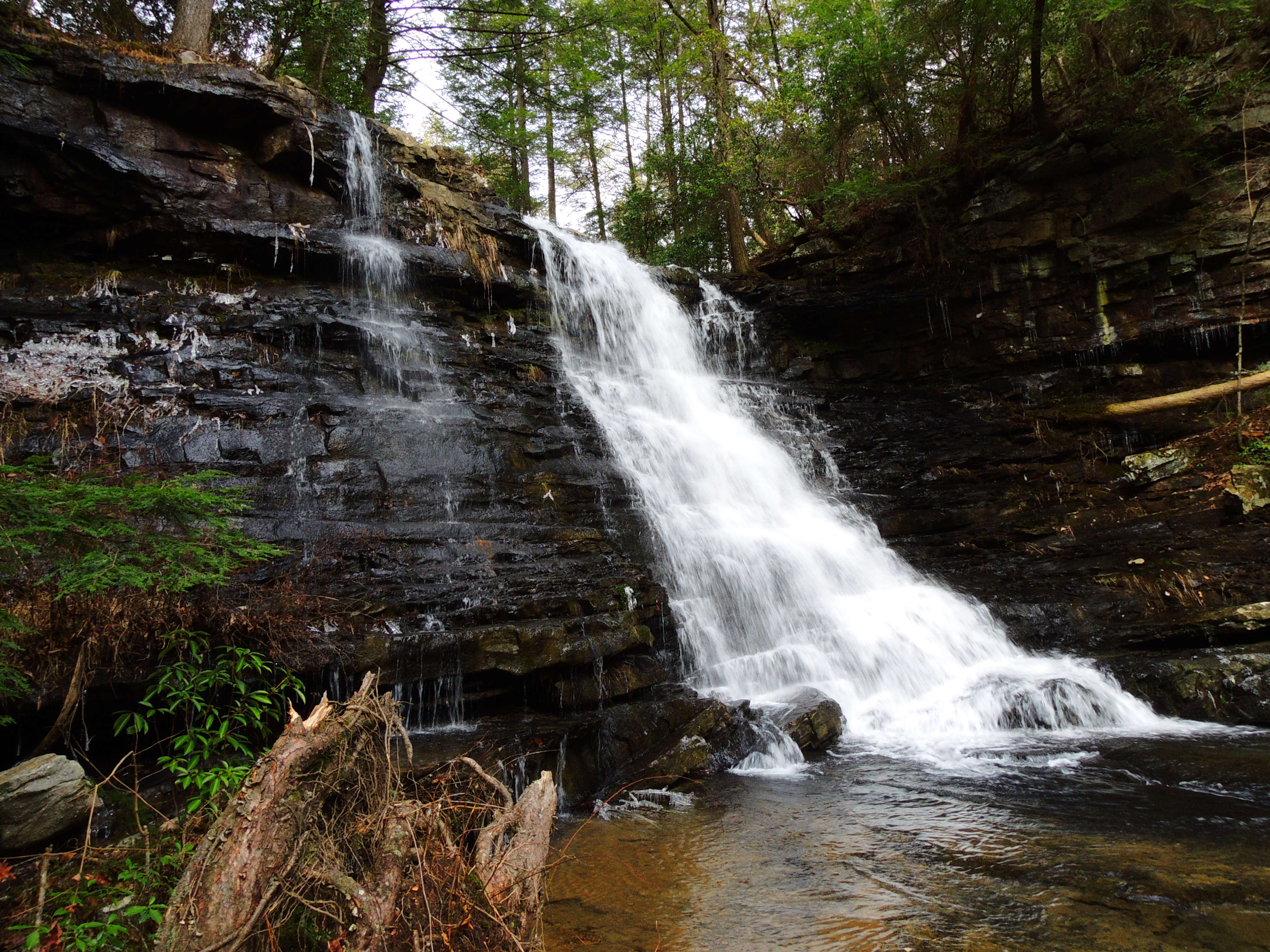 dscn6596.jpg