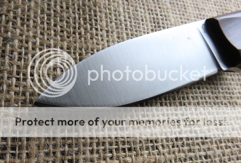 IMG_1458.jpg~original