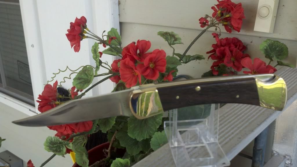 2011-09-14_17-31-07_381.jpg