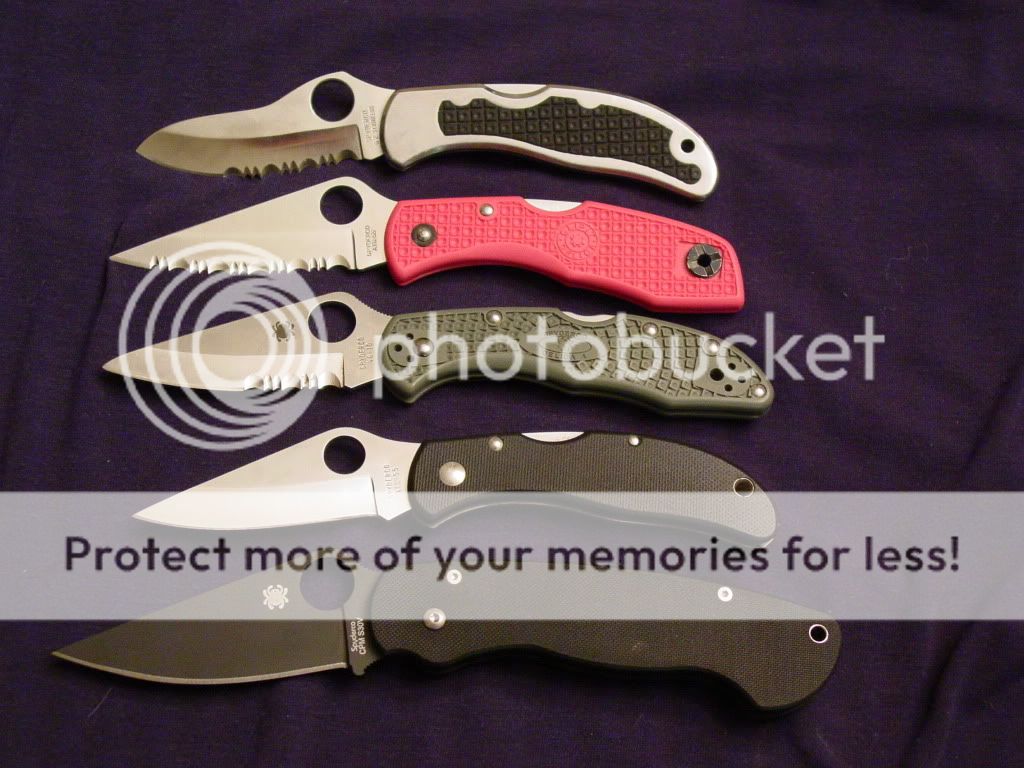 dylansspydies002.jpg