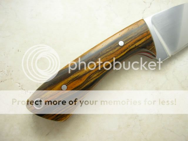 IMGP1273.jpg