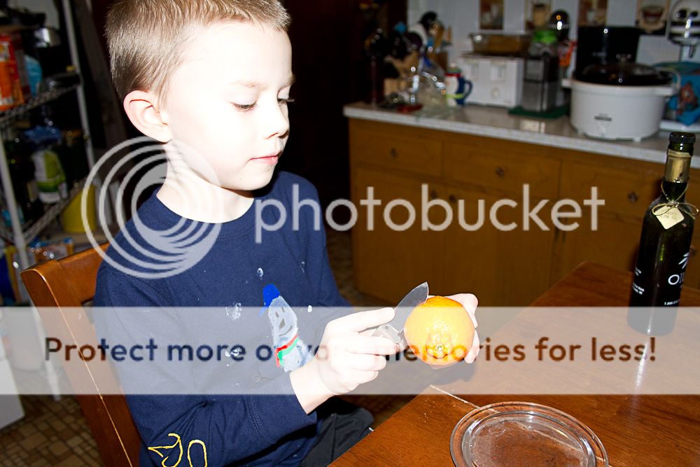 IMG_8254_zps4b41d095.jpg