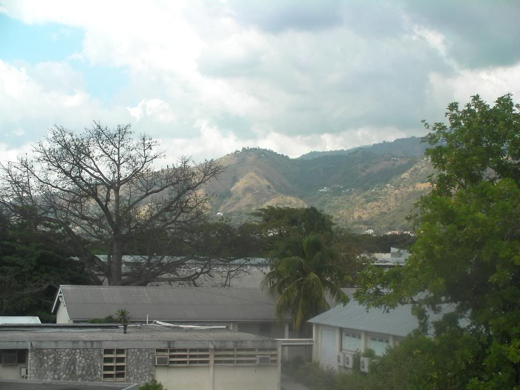 SANY0100-1.jpg