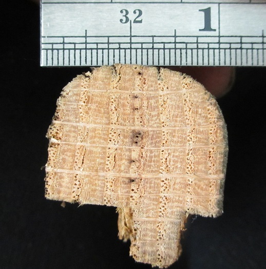 2pan7yz.jpg