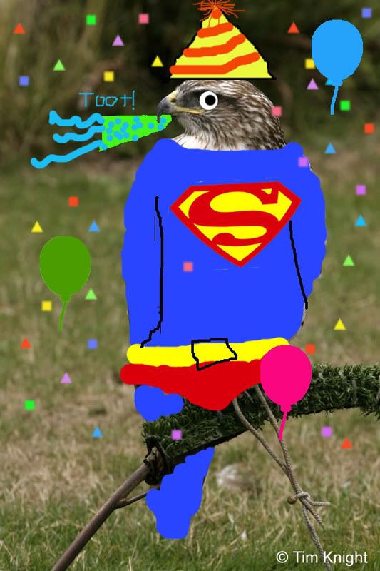 Superhawkpartytime.jpg