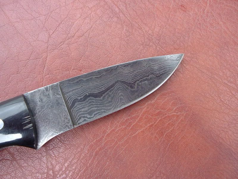 BuffaloEDC003.jpg