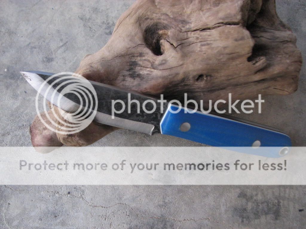 IMG_3753_zps10f467f1.jpg