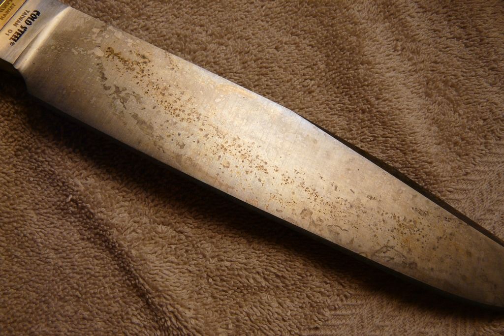P1030873_zpsdmwsxbdf.jpg