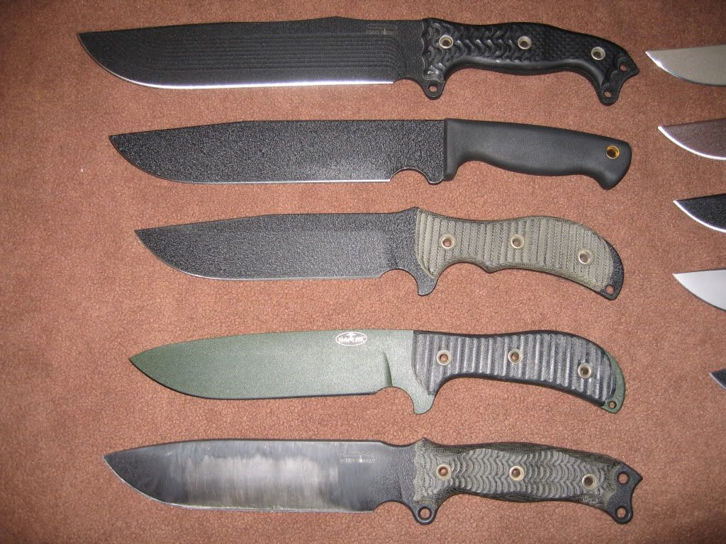 BrownTrout2012.jpg