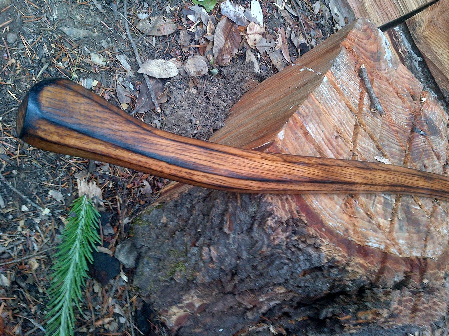 IMG-20130624-00435_zps8821753e.jpg