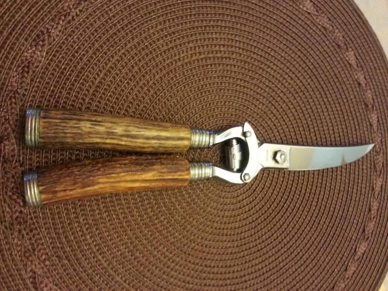 scissors.jpg