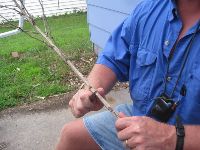 IMG_1854.jpg