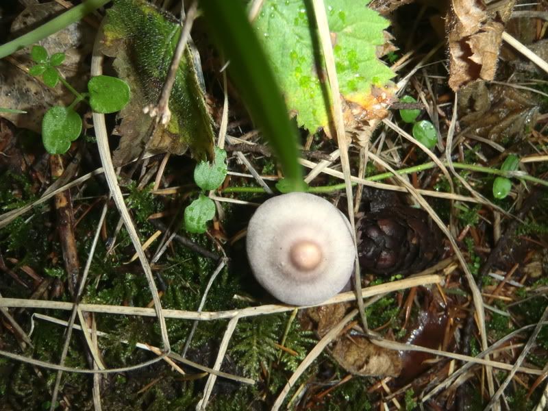 PB070013.jpg