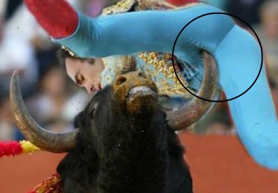 metador1.jpg