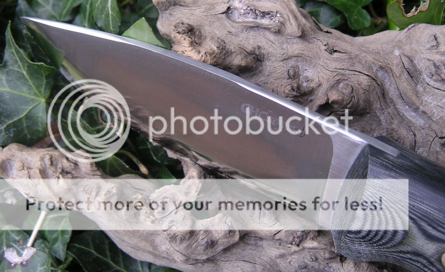 PICT3384_zpsql8ycqnb.jpg