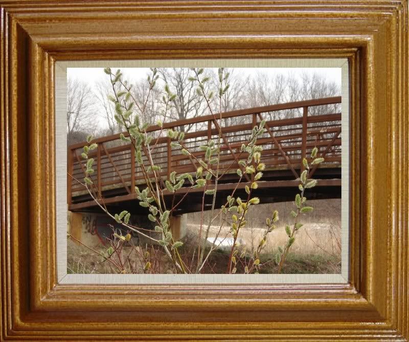 sddfdFrame_5x7_Gold_Picture_Frames.jpg