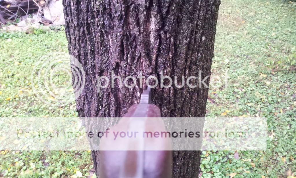 2012-09-18134759.jpg