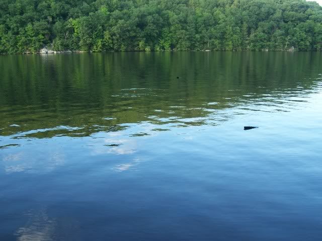 100_8593.jpg
