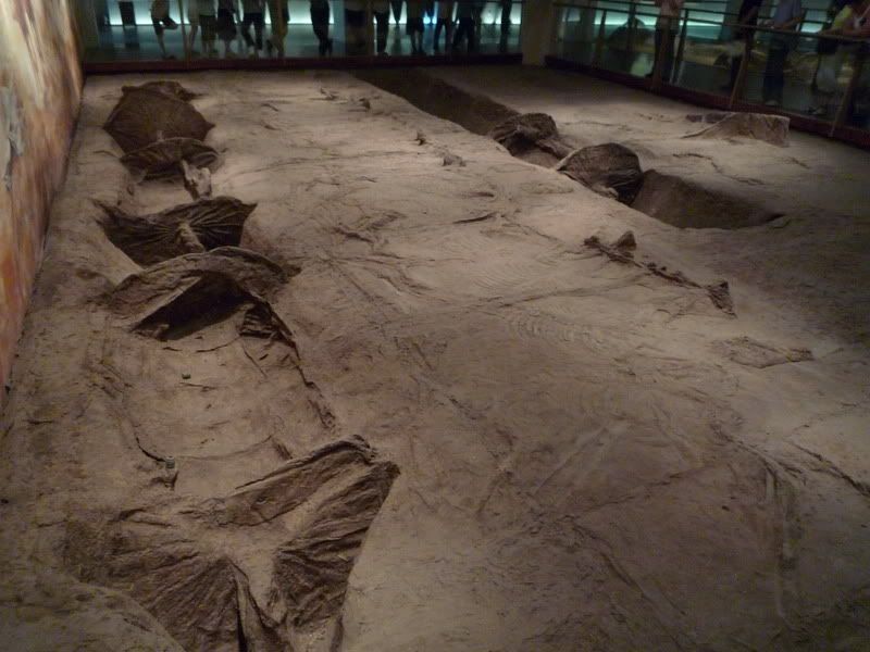 P1000402.jpg