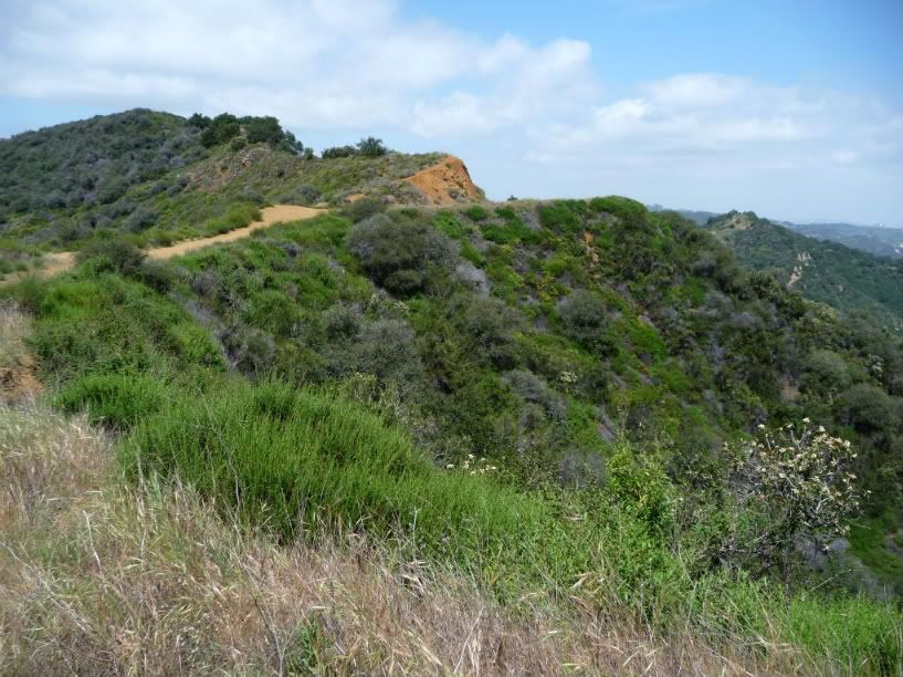 SoCal2011244.jpg