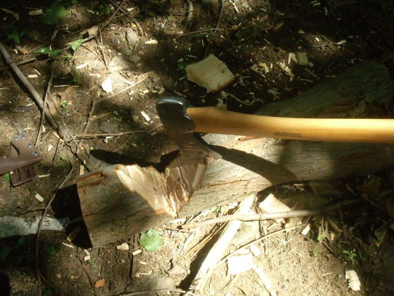DSCN6760.jpg