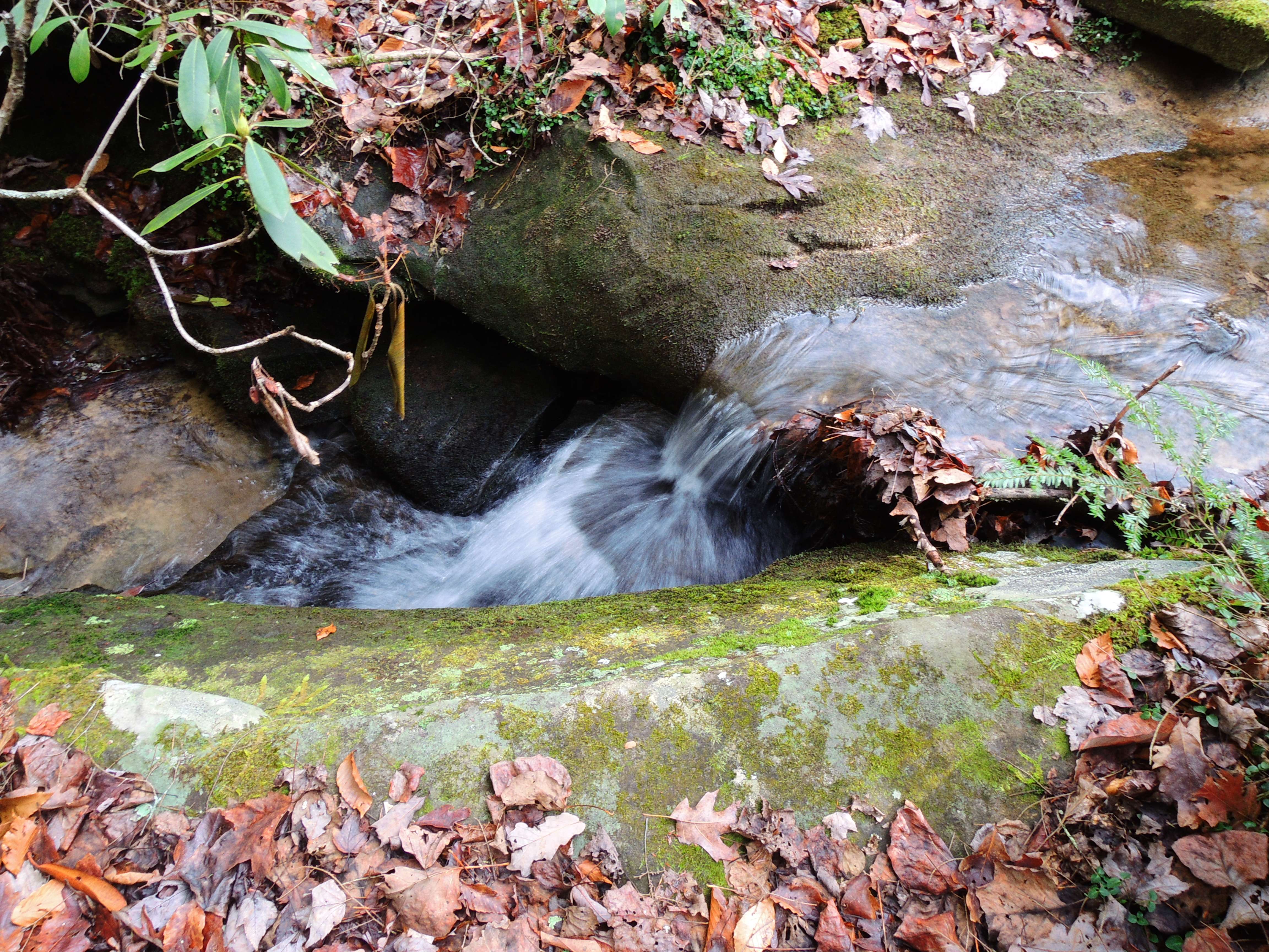 dscn4855c.jpg