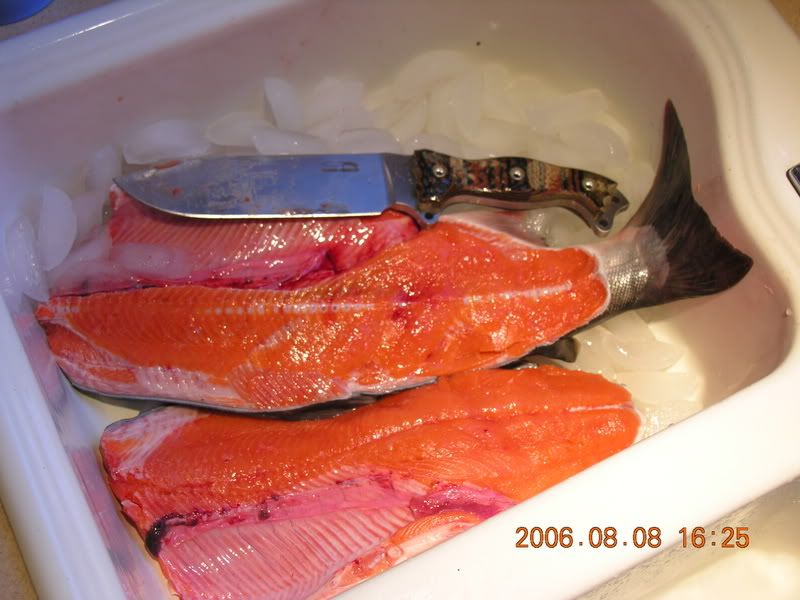 DSCN0431.jpg