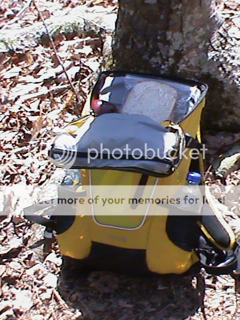 DSC00236.jpg