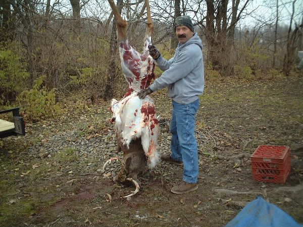10pt2-1.jpg