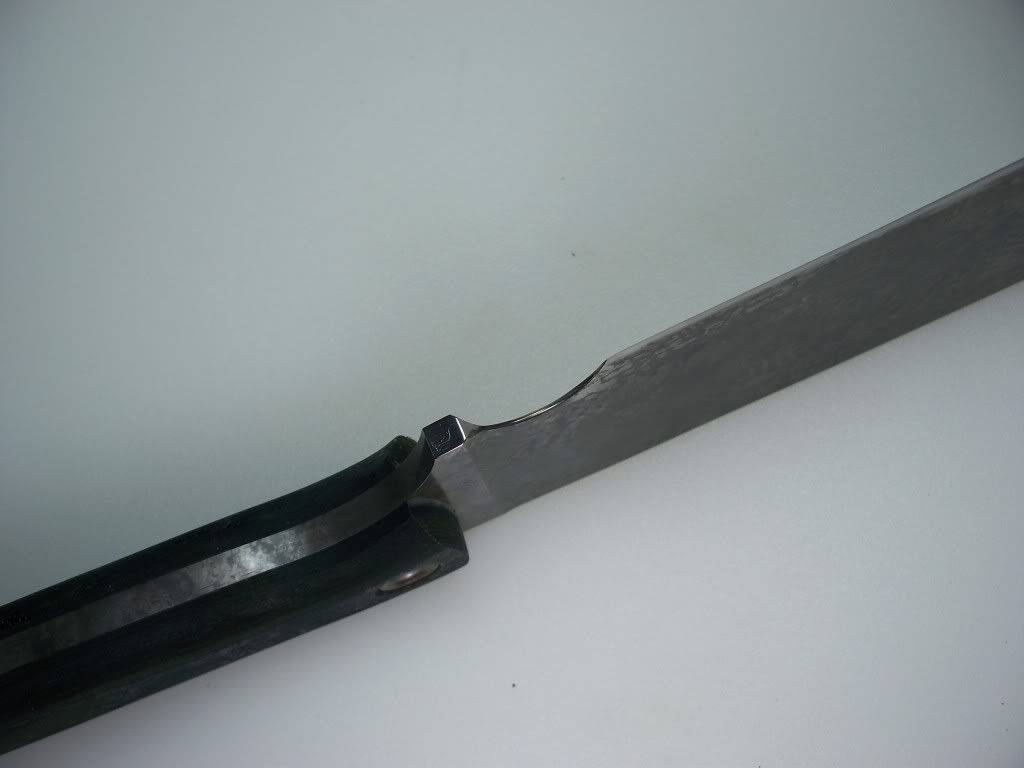 214.jpg