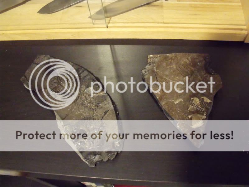 DSCF1188.jpg
