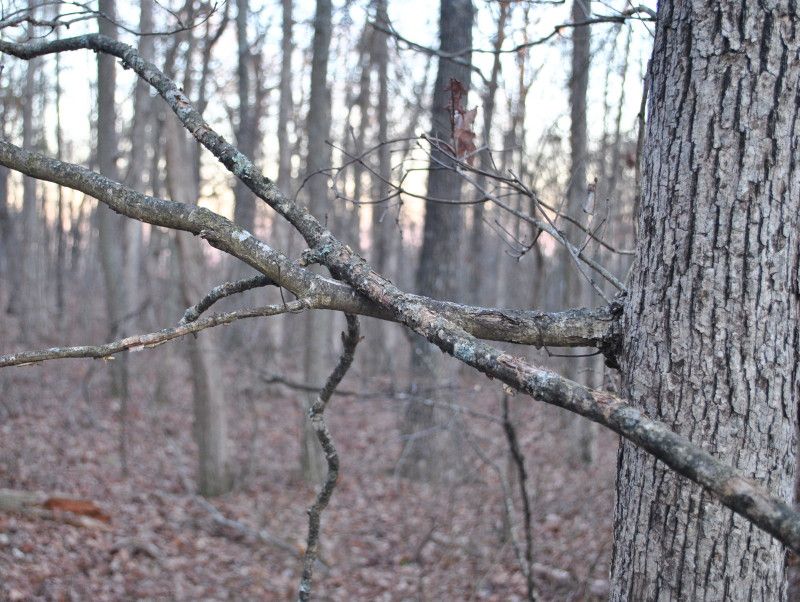 DSC_9542.jpg