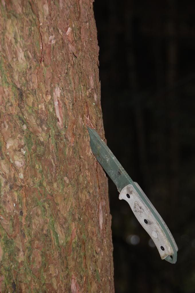 DSC_7574.jpg