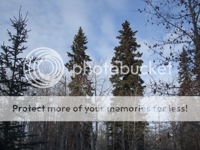 DSCF2106.jpg