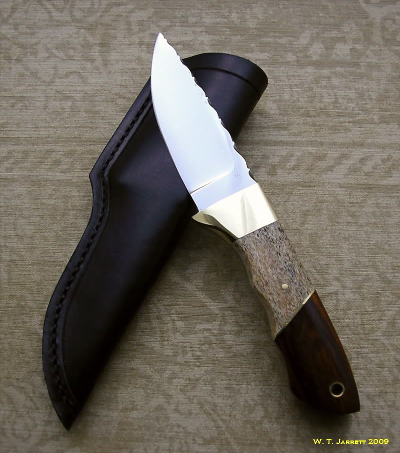 SeacowHunterLeftProfile.jpg