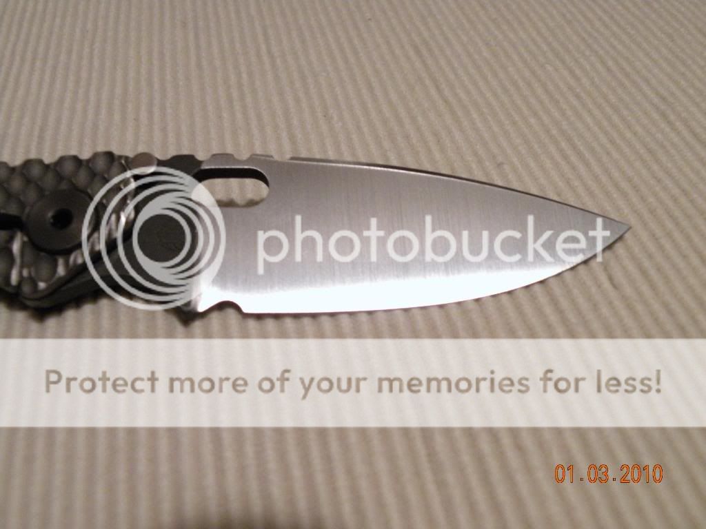 DSCN0699.jpg