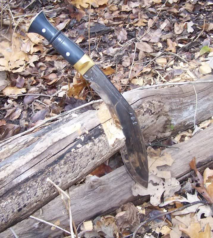 cakvoak1.jpg