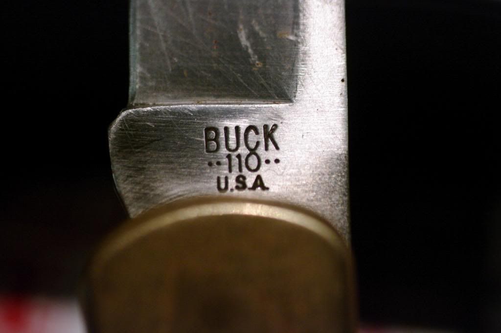 buck110fourdotstagtwopinAusschn.jpg