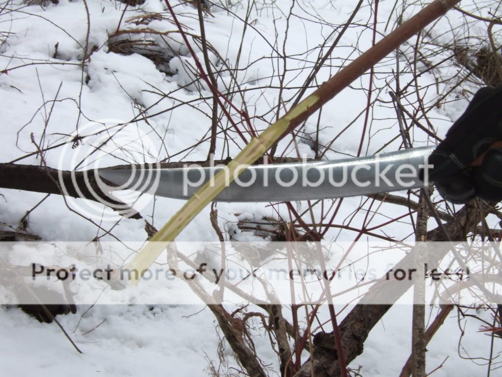 DSCF1021.jpg