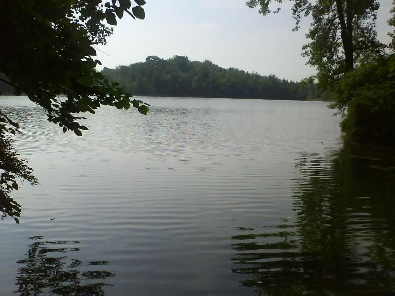ScoutCamp2008060.jpg