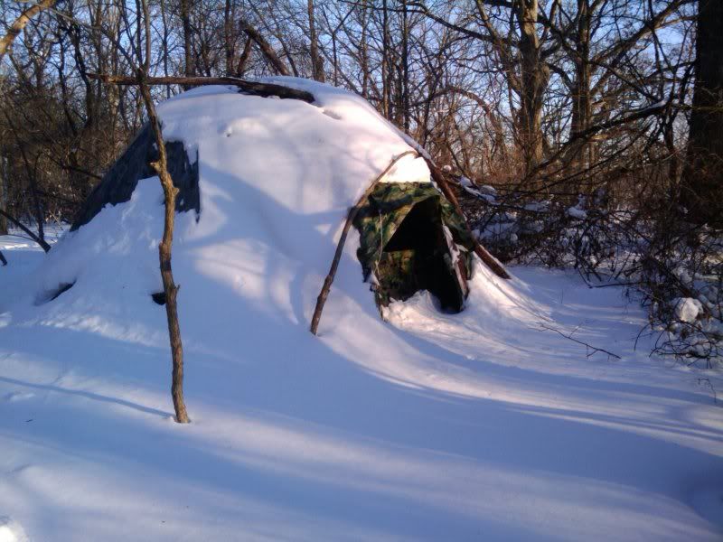 2011-02-03161052.jpg