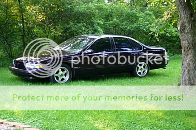 impala4-1.jpg