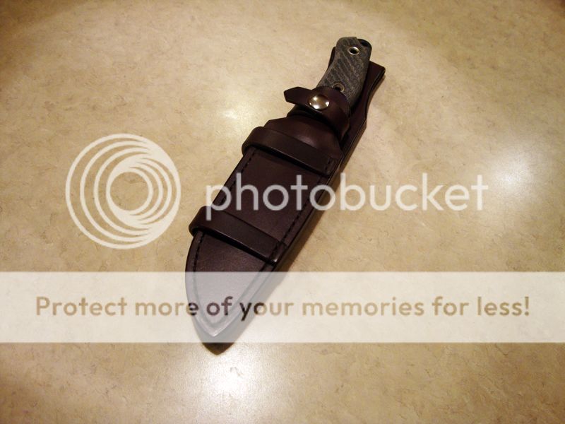 DSC08659_zps34c4d3ad.jpg