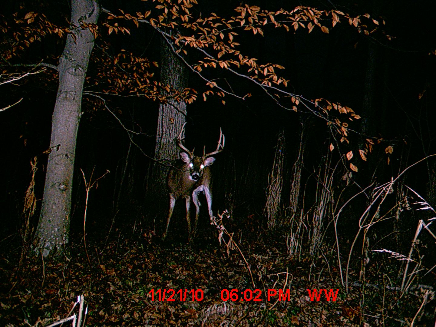 MDGC0024.jpg