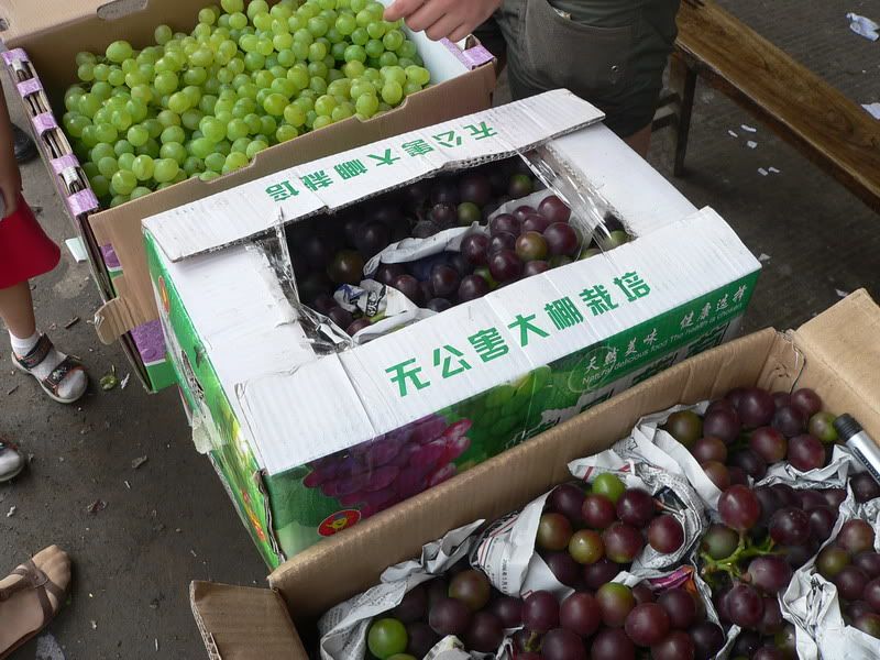 P1400829.jpg