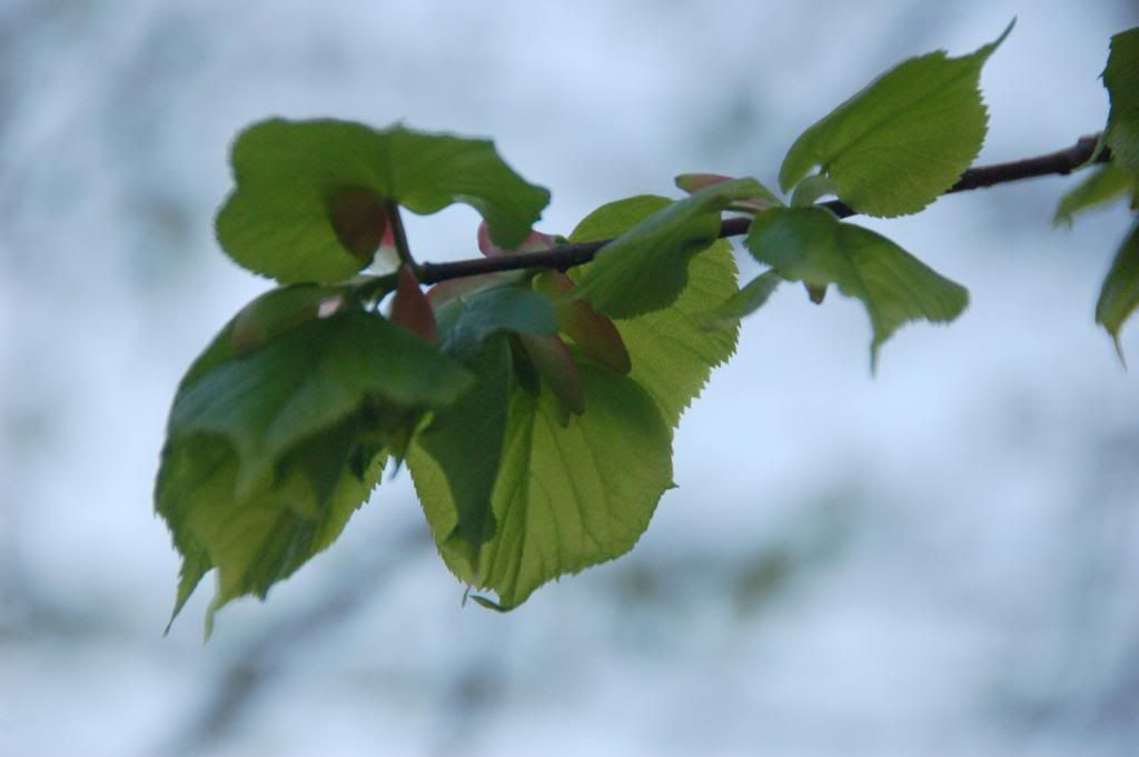 DSC_0001-8.jpg